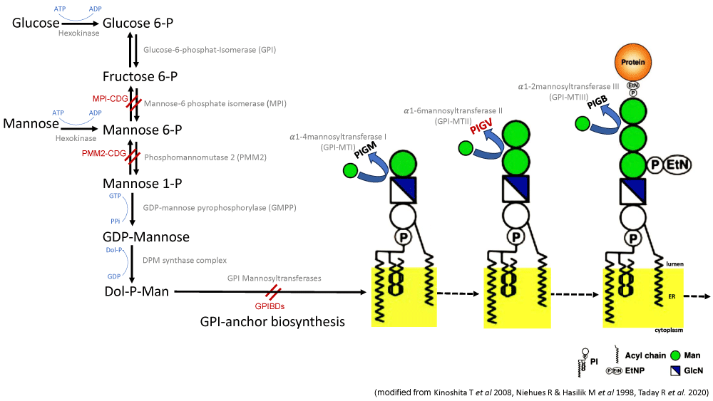 jgmgt-aid1008-g001